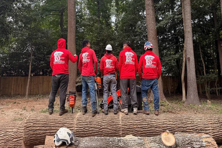 How Expert Tree Care by Grant Brothers Tree Service in Chantilly, VA, Mitigates Costly Property Risks