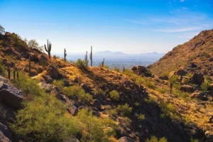Phoenix vs Scottsdale Vacation Rentals Comparison: Top 7 Neighborhoods to Book